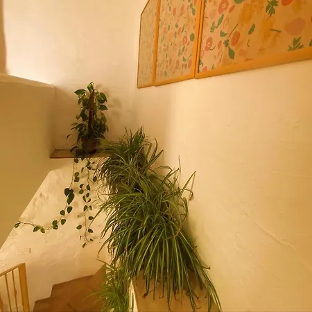 Apartment Romantic Garden