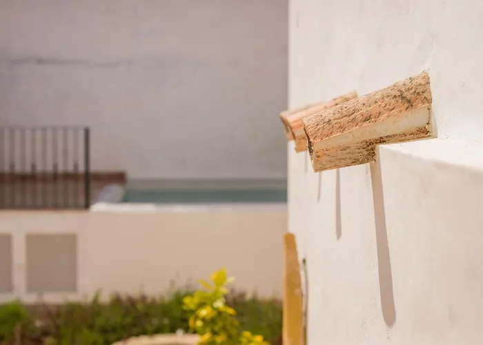 Romantic Garden 龙达