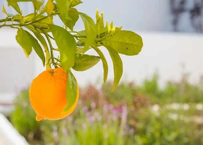 Romantic Garden Apartmán Ronda